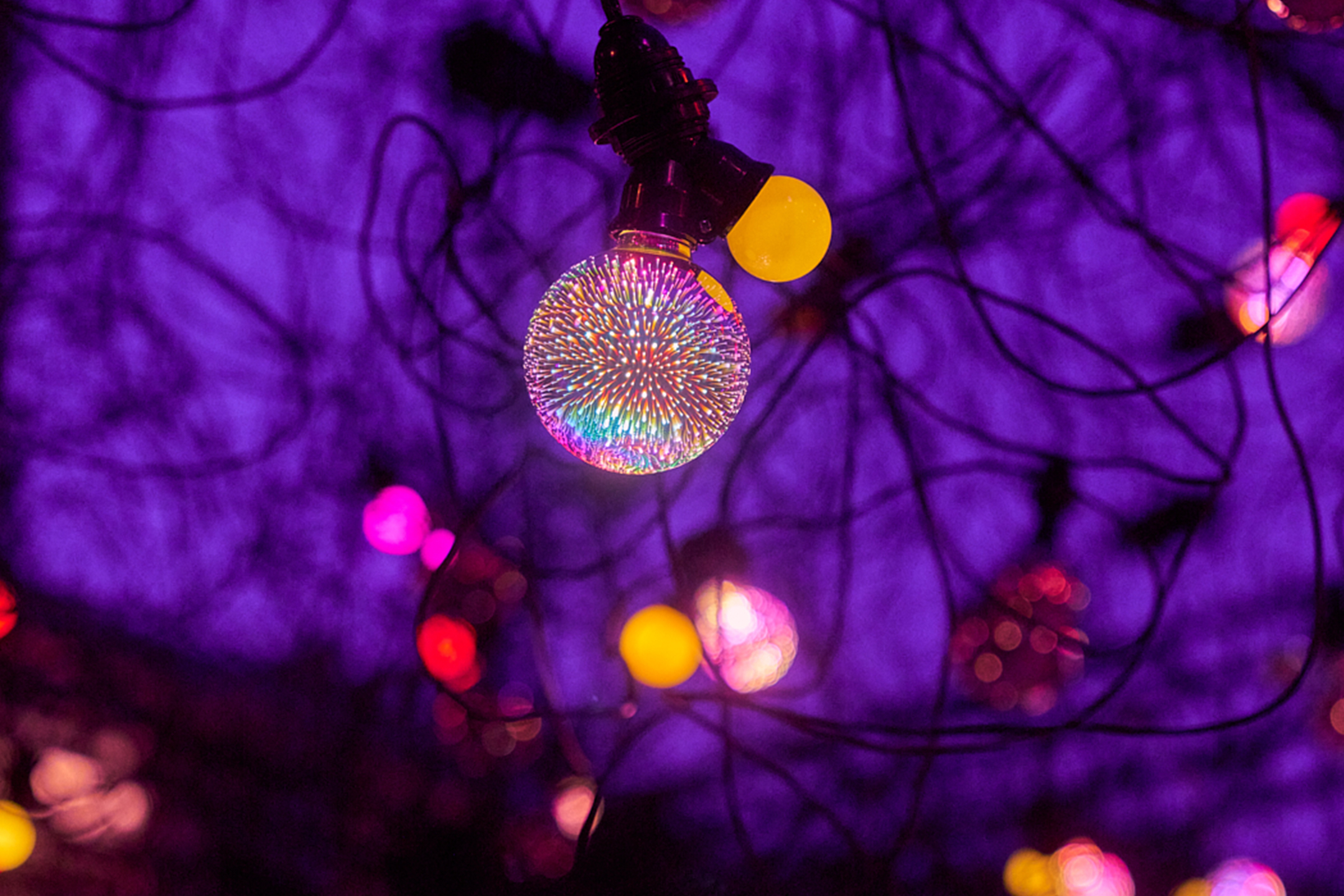 :mentalKLINIK, works, TERRIBLY HAPPY,  2025